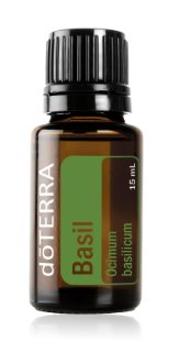 Basil 15ml