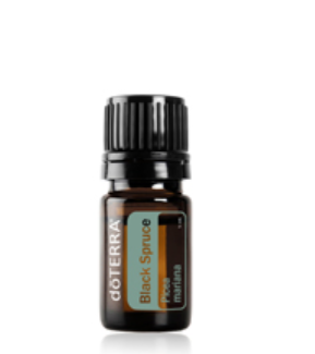 Black Spruce 15ml