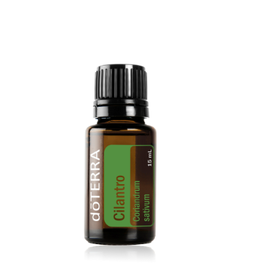 Cilantro 15ml