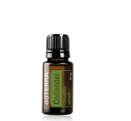 Coriander 15ml
