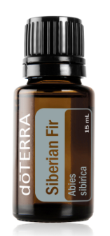 Siberian Fir 15ml